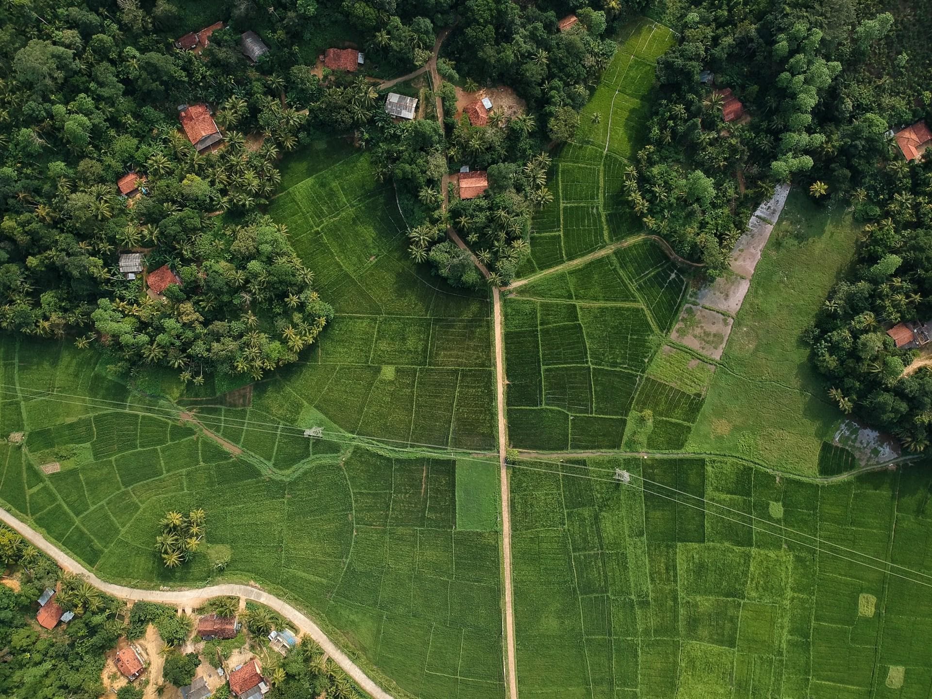 Scenic beauty of Sri Lanka